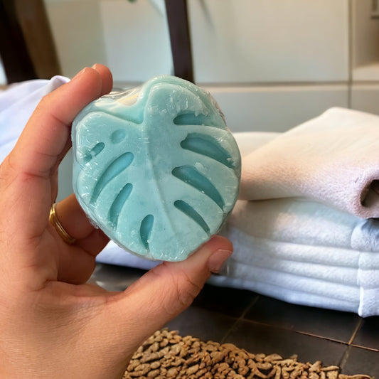 Why Shampoo Bars Are the BOMB.com!