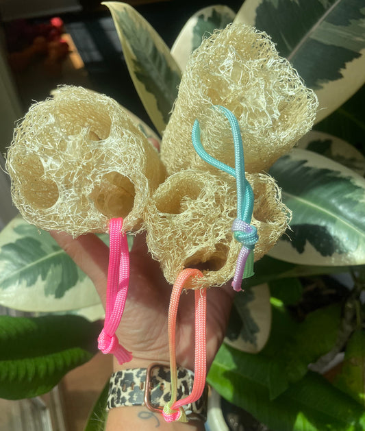 Natural Luffa Sponge w/ Rope.