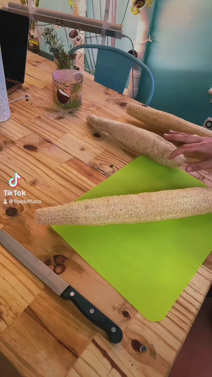 Natural Luffa Sponge w/ Rope.