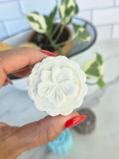 Shampoo Bars