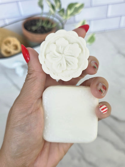 Shampoo + Conditioner Bundle