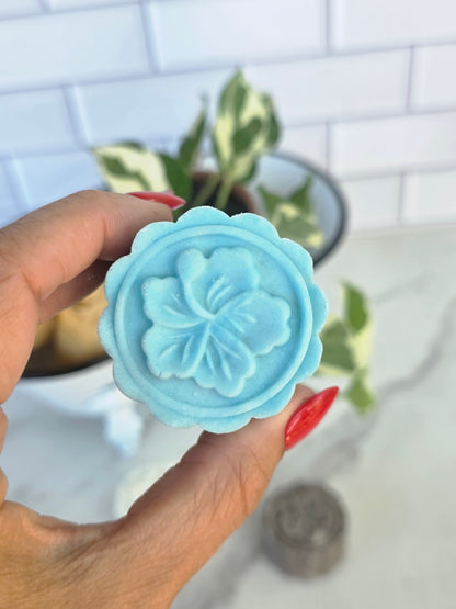 Shampoo Bars