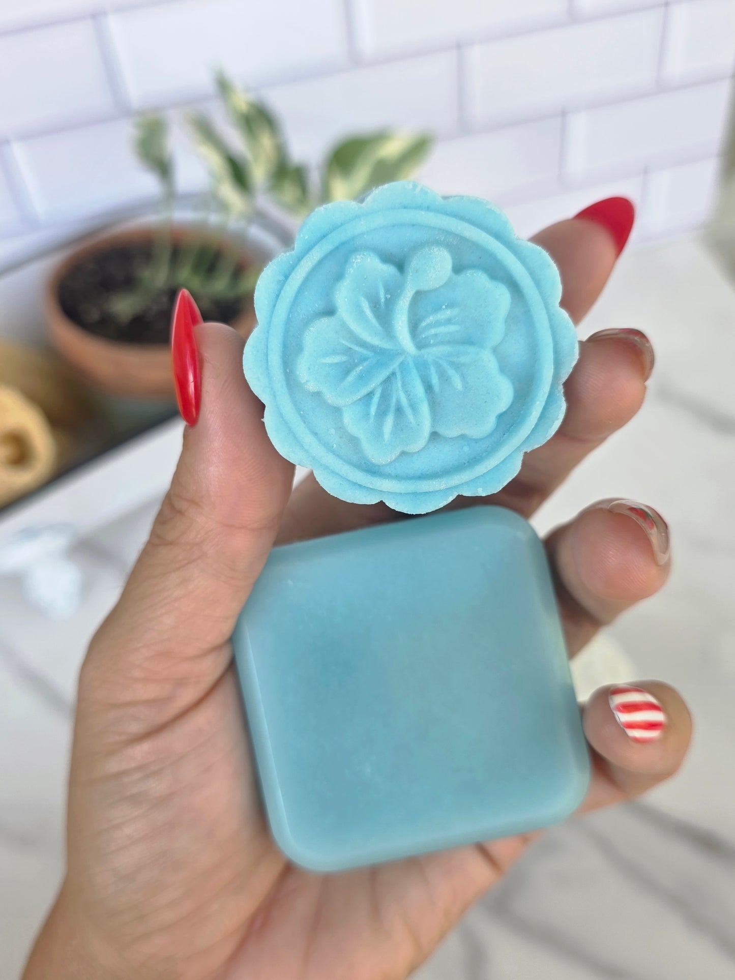 Shampoo + Conditioner Bundle