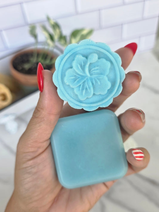 Shampoo + Conditioner Bundle