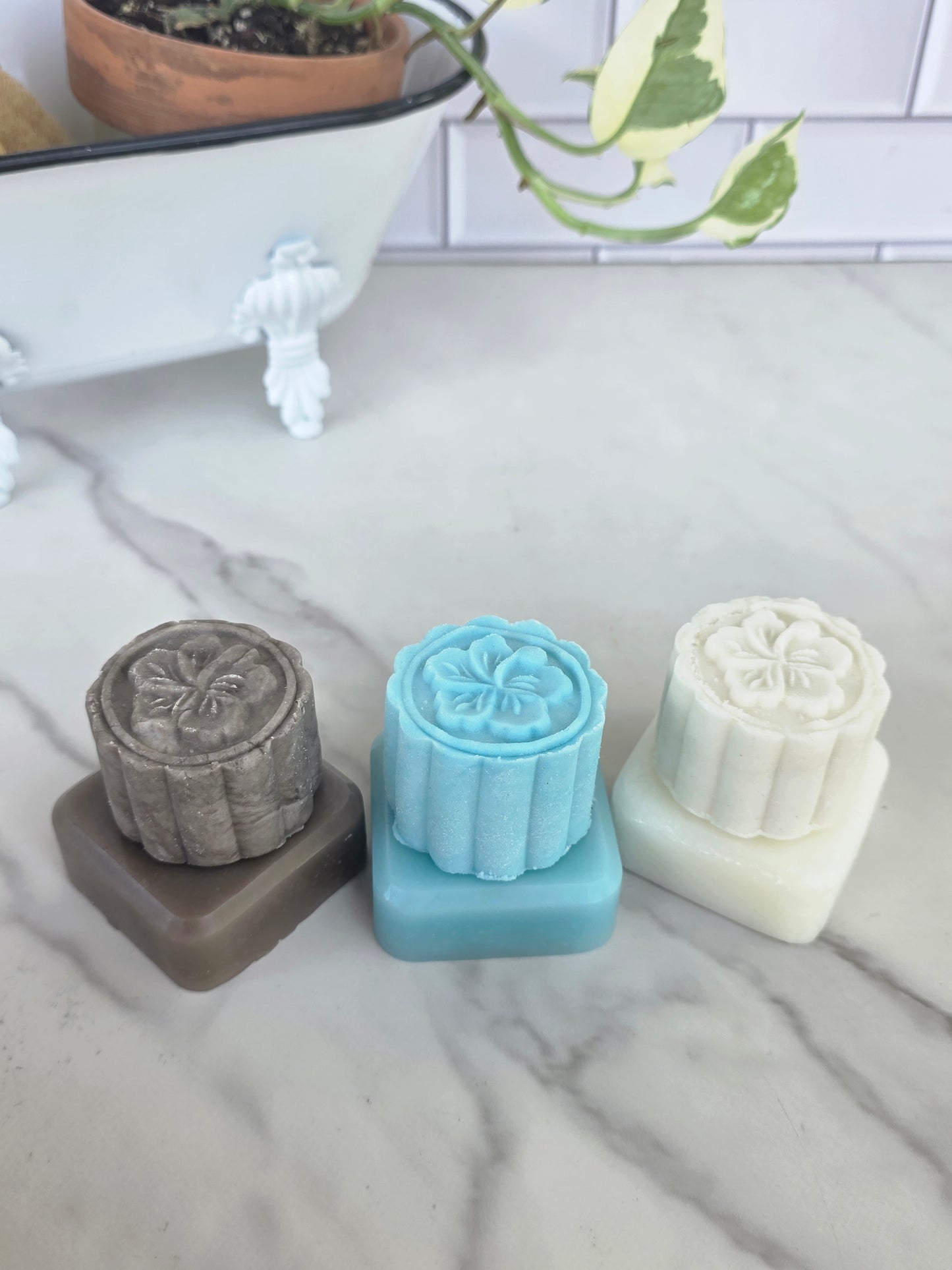 Shampoo + Conditioner Bundle